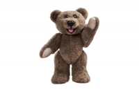 Teddy bear